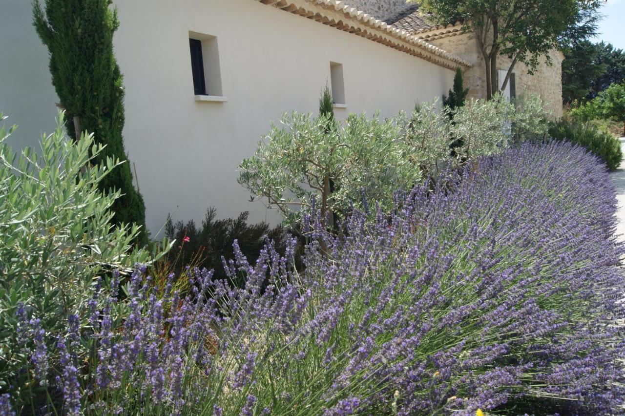 B&B dans Mas en pierres Robion Extérieur photo
